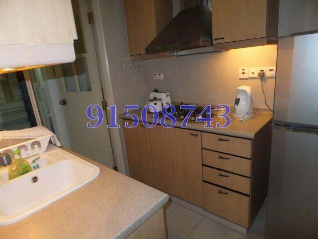 Nineteen Shelford Road (D11), Condominium #159155992